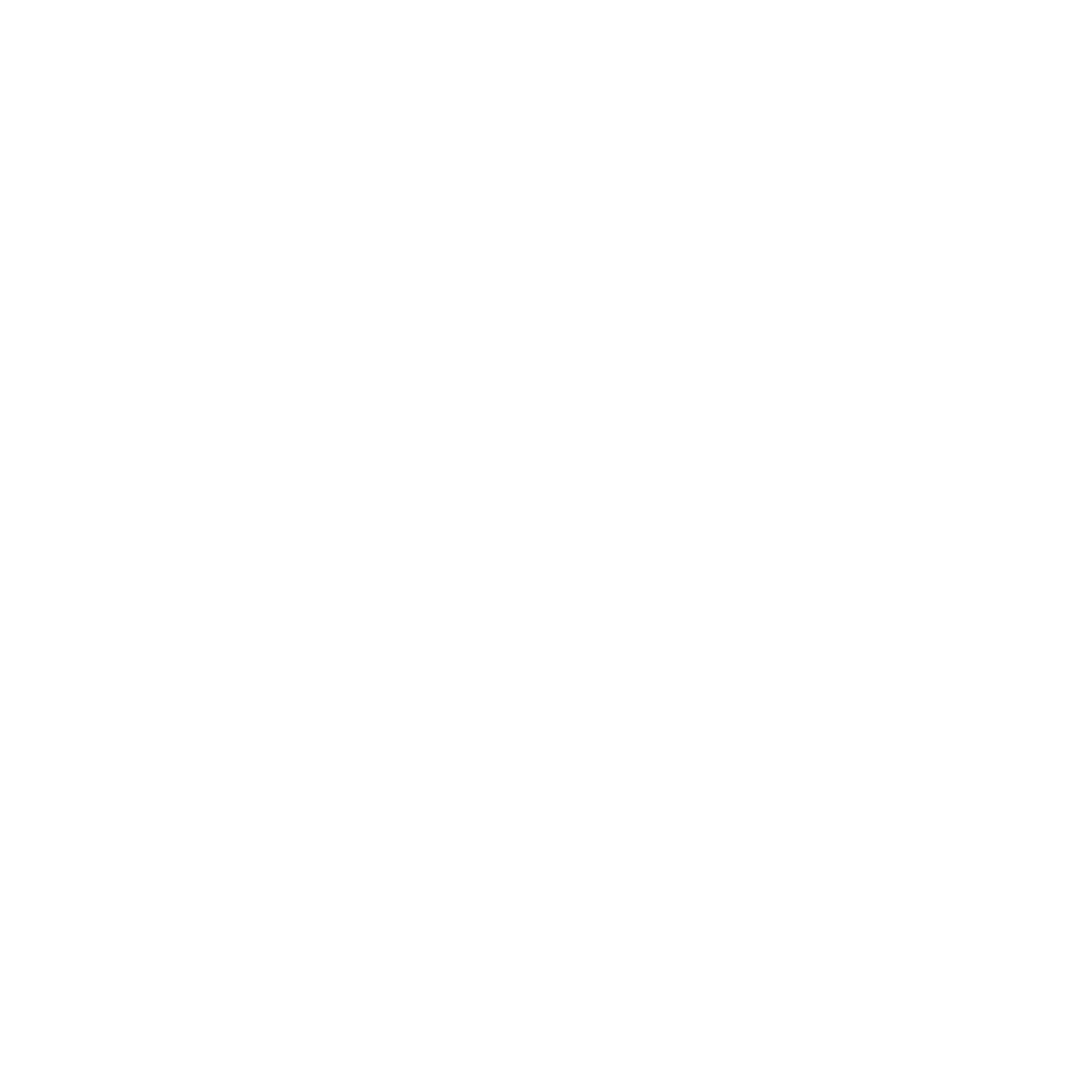 CodX srl